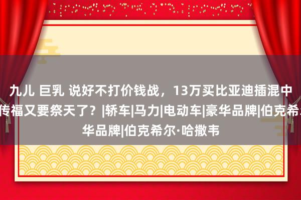 九儿 巨乳 说好不打价钱战，13万买比亚迪插混中级车！王传福又要祭天了？|轿车|马力|电动车|豪华品牌|伯克希尔·哈撒韦