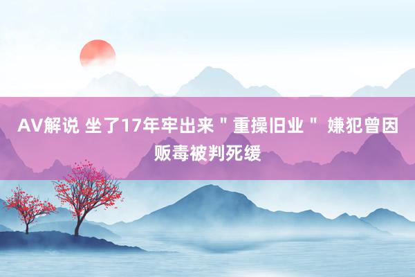 AV解说 坐了17年牢出来＂重操旧业＂ 嫌犯曾因贩毒被判死缓