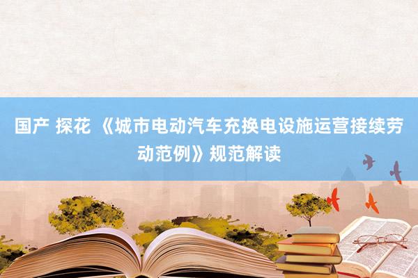 国产 探花 《城市电动汽车充换电设施运营接续劳动范例》规范解读