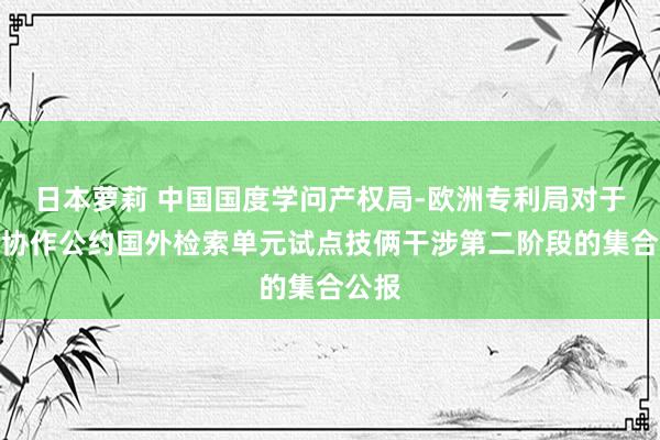 日本萝莉 中国国度学问产权局-欧洲专利局对于专利协作公约国外检索单元试点技俩干涉第二阶段的集合公报