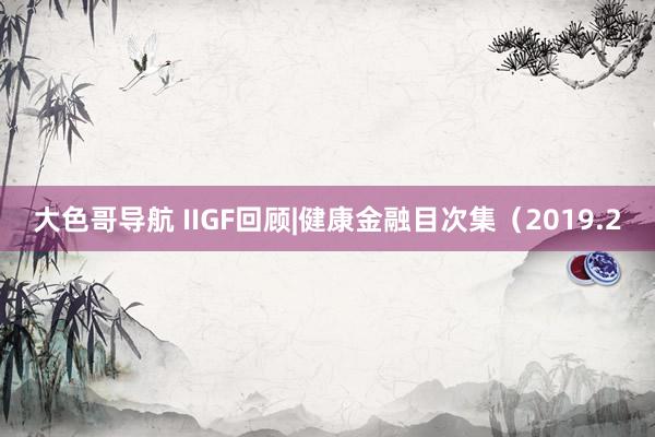 大色哥导航 IIGF回顾|健康金融目次集（2019.2