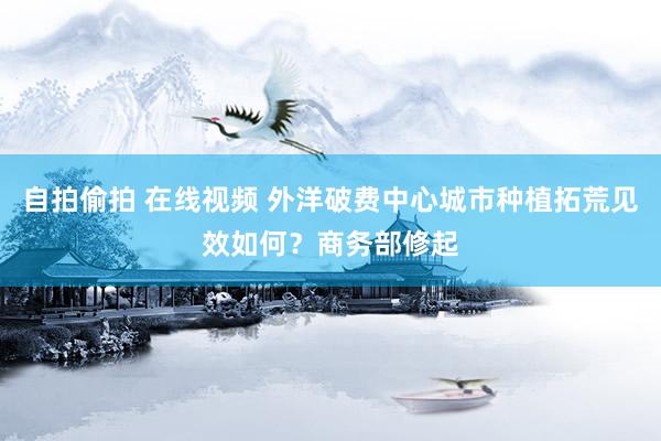 自拍偷拍 在线视频 外洋破费中心城市种植拓荒见效如何？商务部修起