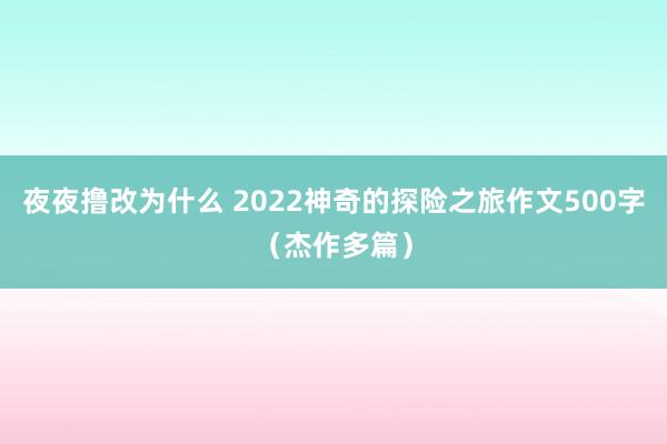 夜夜撸改为什么 2022神奇的探险之旅作文500字（杰作多篇）