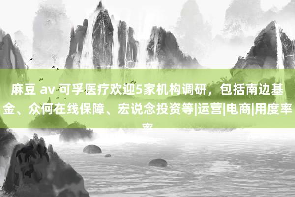 麻豆 av 可孚医疗欢迎5家机构调研，包括南边基金、众何在线保障、宏说念投资等|运营|电商|用度率