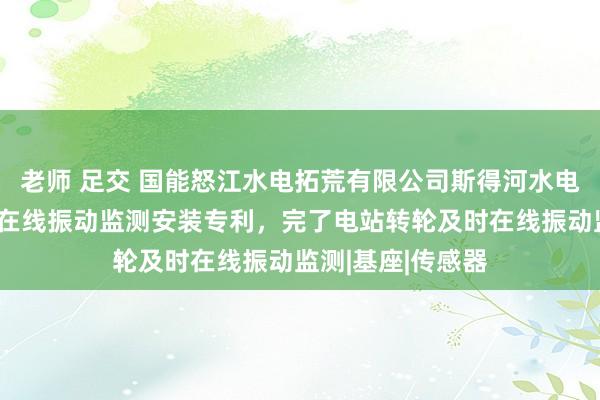 老师 足交 国能怒江水电拓荒有限公司斯得河水电厂获得电站转轮在线振动监测安装专利，完了电站转轮及时在线振动监测|基座|传感器