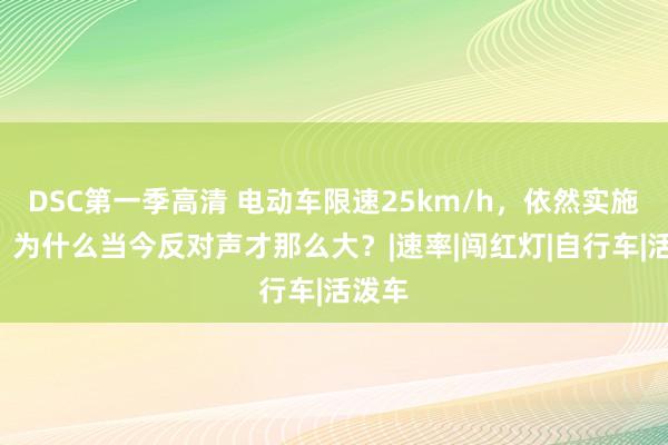 DSC第一季高清 电动车限速25km/h，依然实施5年，为什么当今反对声才那么大？|速率|闯红灯|自行车|活泼车