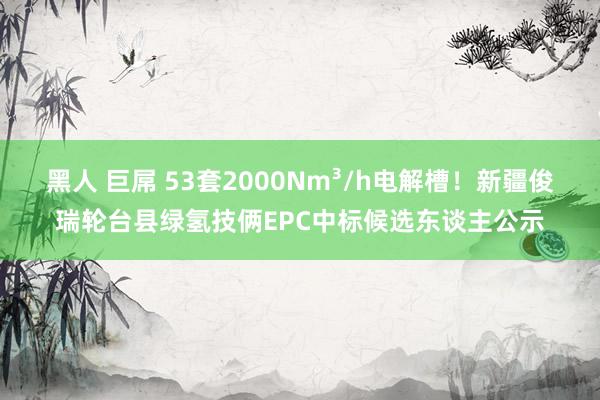 黑人 巨屌 53套2000Nm³/h电解槽！新疆俊瑞轮台县绿氢技俩EPC中标候选东谈主公示