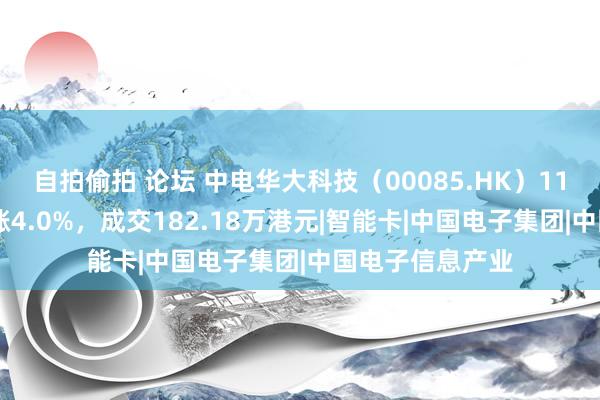 自拍偷拍 论坛 中电华大科技（00085.HK）11月27日收盘高涨4.0%，成交182.18万港元|智能卡|中国电子集团|中国电子信息产业