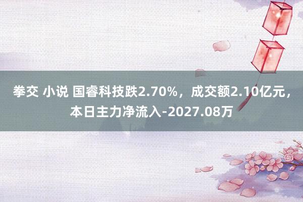 拳交 小说 国睿科技跌2.70%，成交额2.10亿元，本日主力净流入-2027.08万