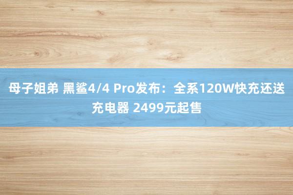 母子姐弟 黑鲨4/4 Pro发布：全系120W快充还送充电器 2499元起售