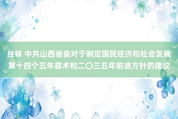 丝袜 中共山西省委对于制定国民经济和社会发展第十四个五年霸术和二〇三五年前途方针的建议