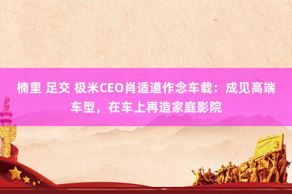 楠里 足交 极米CEO肖适道作念车载：成见高端车型，在车上再造家庭影院